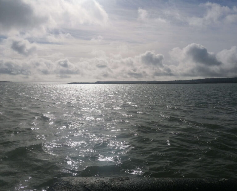 Dungarvan-Harbour-The-Cunnigar-stepsbackthrutime