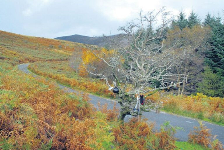 StepsBackThruTime Mahon Falls magic road stunning county Waterford Ireland